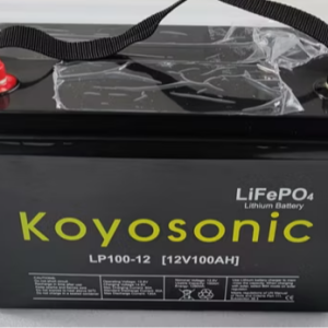 12V/24V LiFePO₄ Battery – Heating Resistance Backup (100–300Ah)